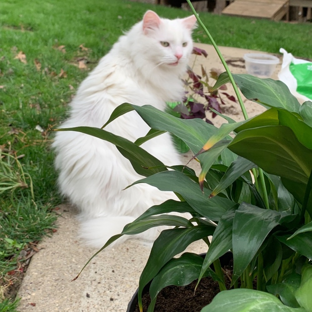 Meet your Posher, Mindy